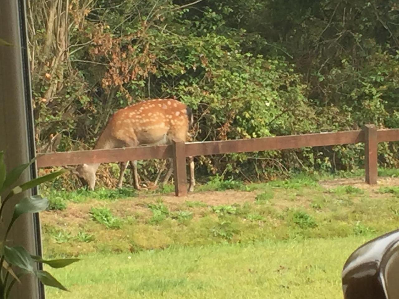 2 Mile Lodge Kenmare Bagian luar foto